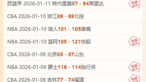 “埃尔莫索手术成功，赛季提前结束”